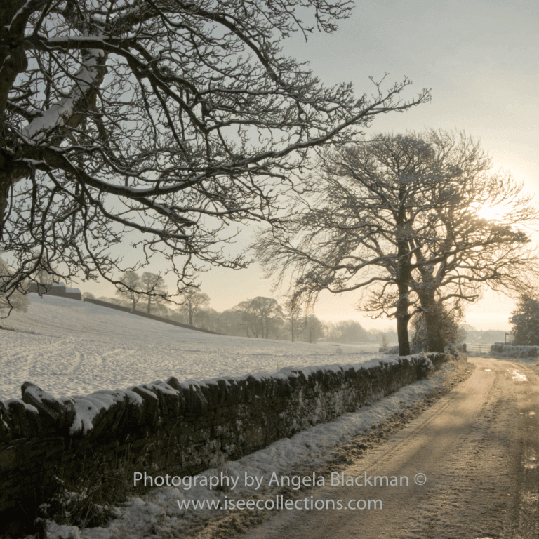 Mounted Photographic Print